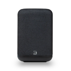 Bluesound PULSE FLEX Wireless Streaming Speaker — Vinyl Sound Buffalo NY
