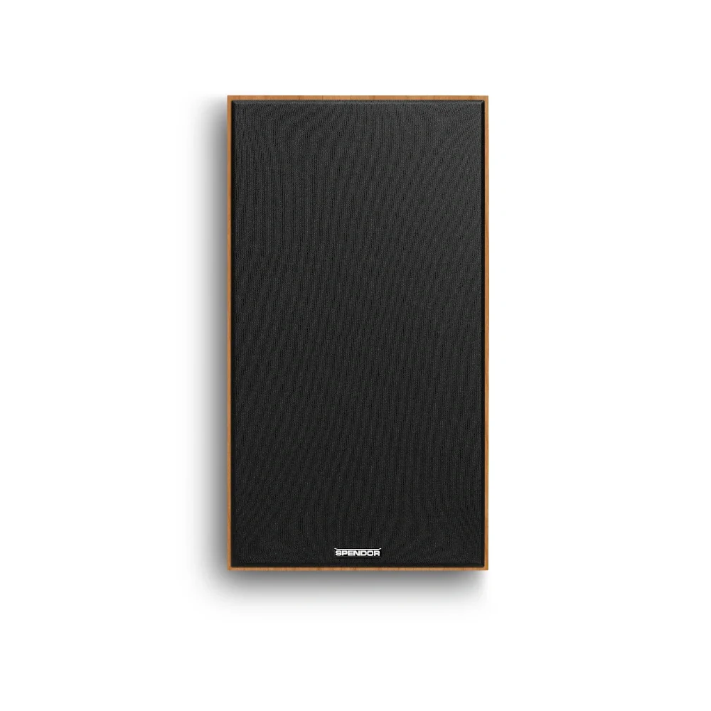 SPENDOR DS1 2-WAY SURFACE LOUDSPEAKER