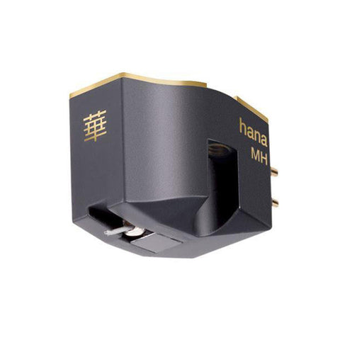 VPI AVENGER PLUS TURNTABLE