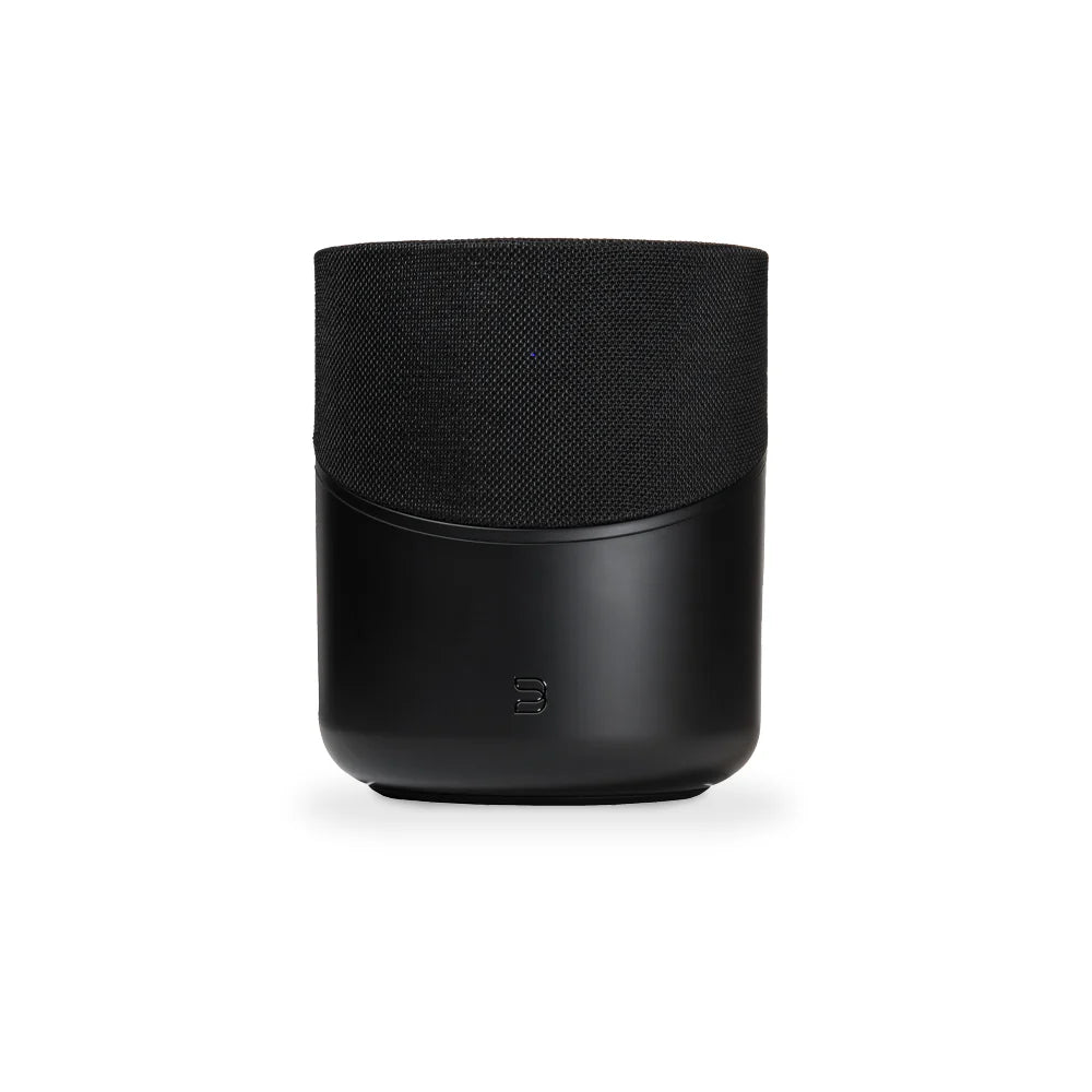 Bluesound Pulse M Speaker