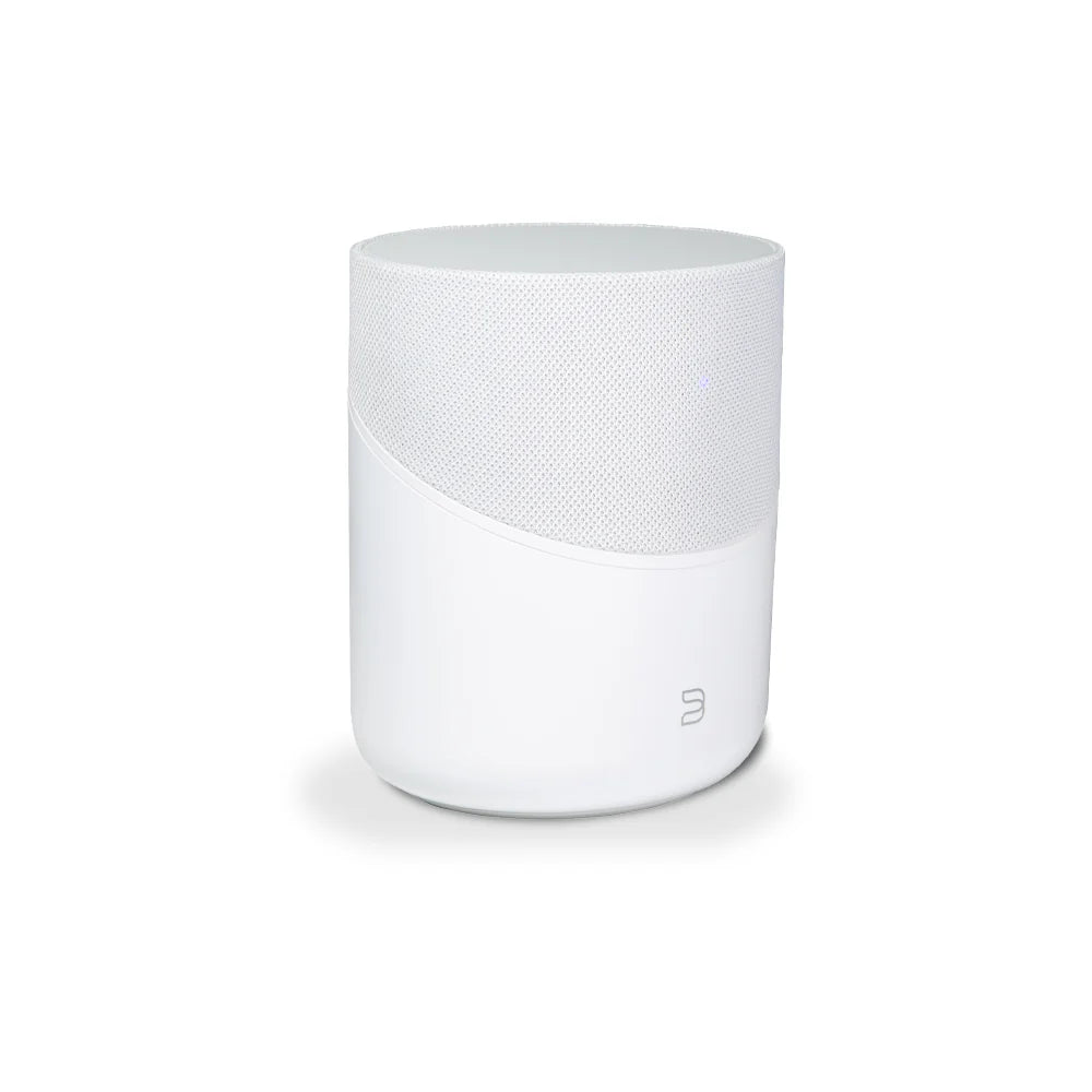 Bluesound Pulse M Speaker