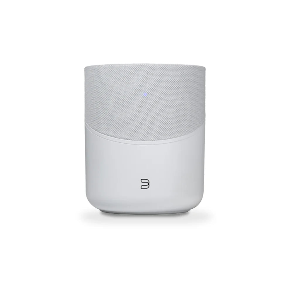 Bluesound Pulse M Speaker
