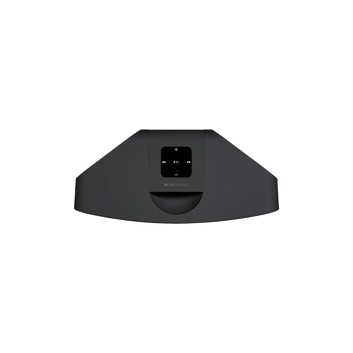 Bluesound Pulse Mini 2i Speaker