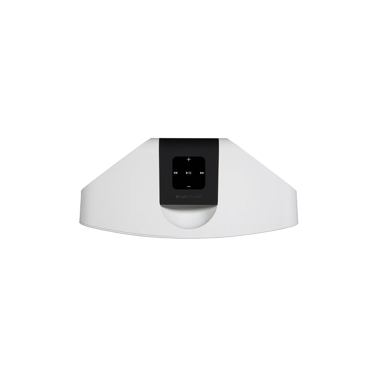 Bluesound Pulse Mini 2i Speaker