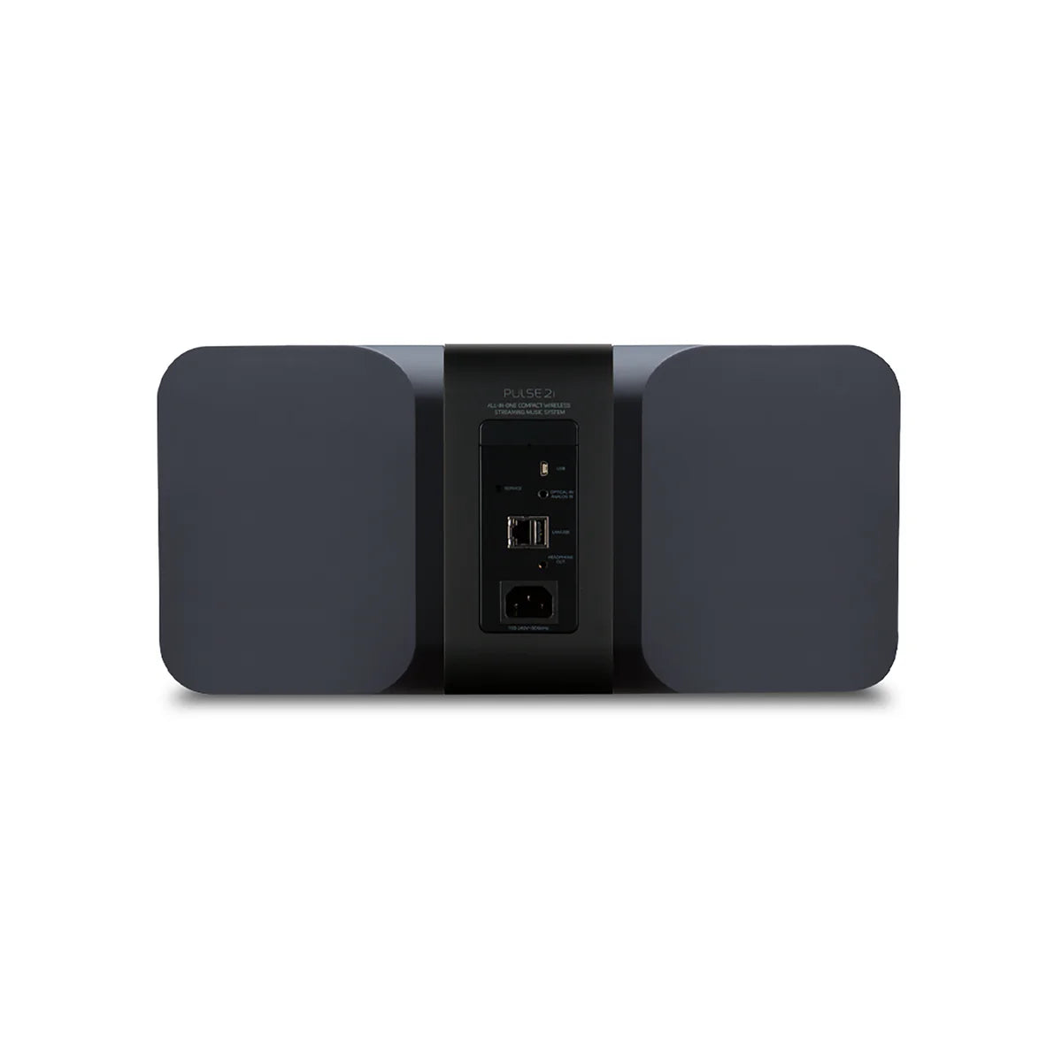 Bluesound Pulse 2i Speaker