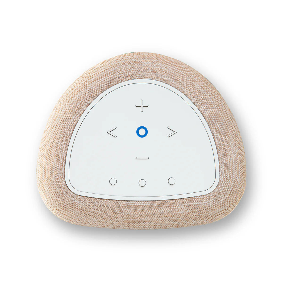 Bluesound PULSE FLEX Wireless Speaker
